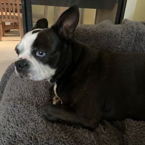 Meet your Posher, Shanna